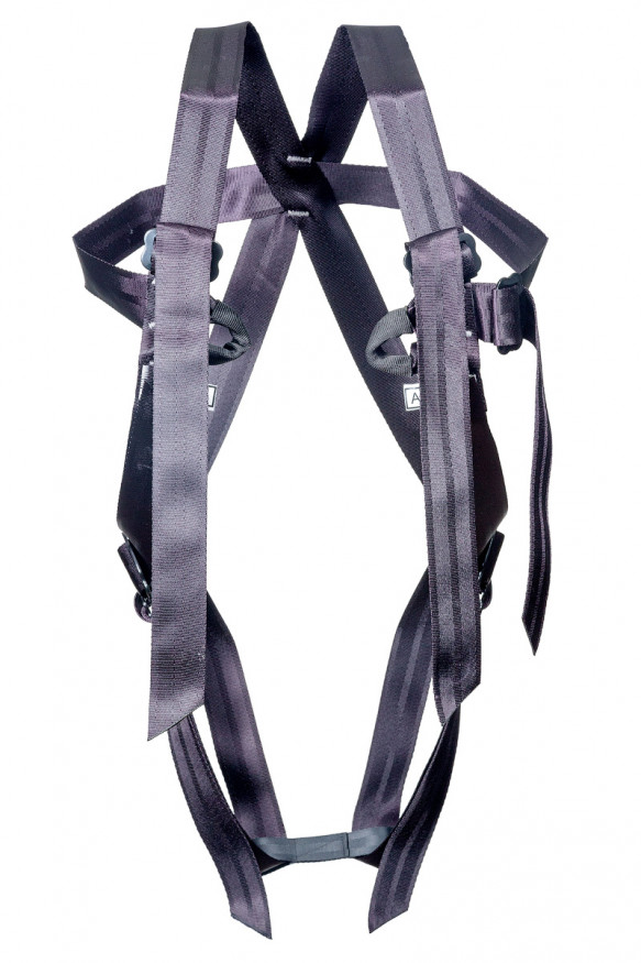 Страховочная система &amp;quot;Альпина&amp;quot;, Ринг